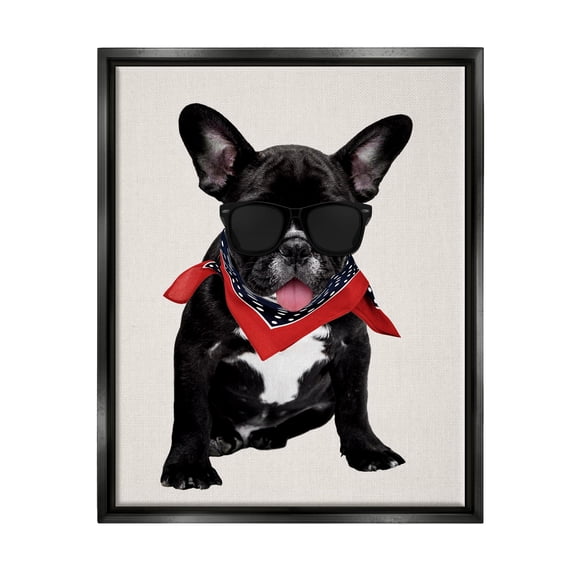 Stupell Cool Dude French Bulldog Pet Animals & Insects Painting Black Floater Framed Art Print Wall Art