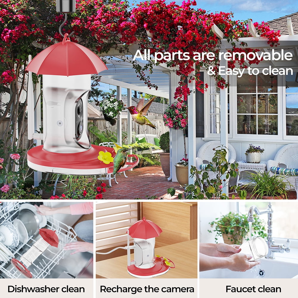 Smart Hummingbird Feeder with Camera Solar Powered Wireless Outdoors Bird Feeder with Ant Moat