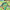 TMNT Green, variant on Minecraft Boys 16" Backpack, Green
