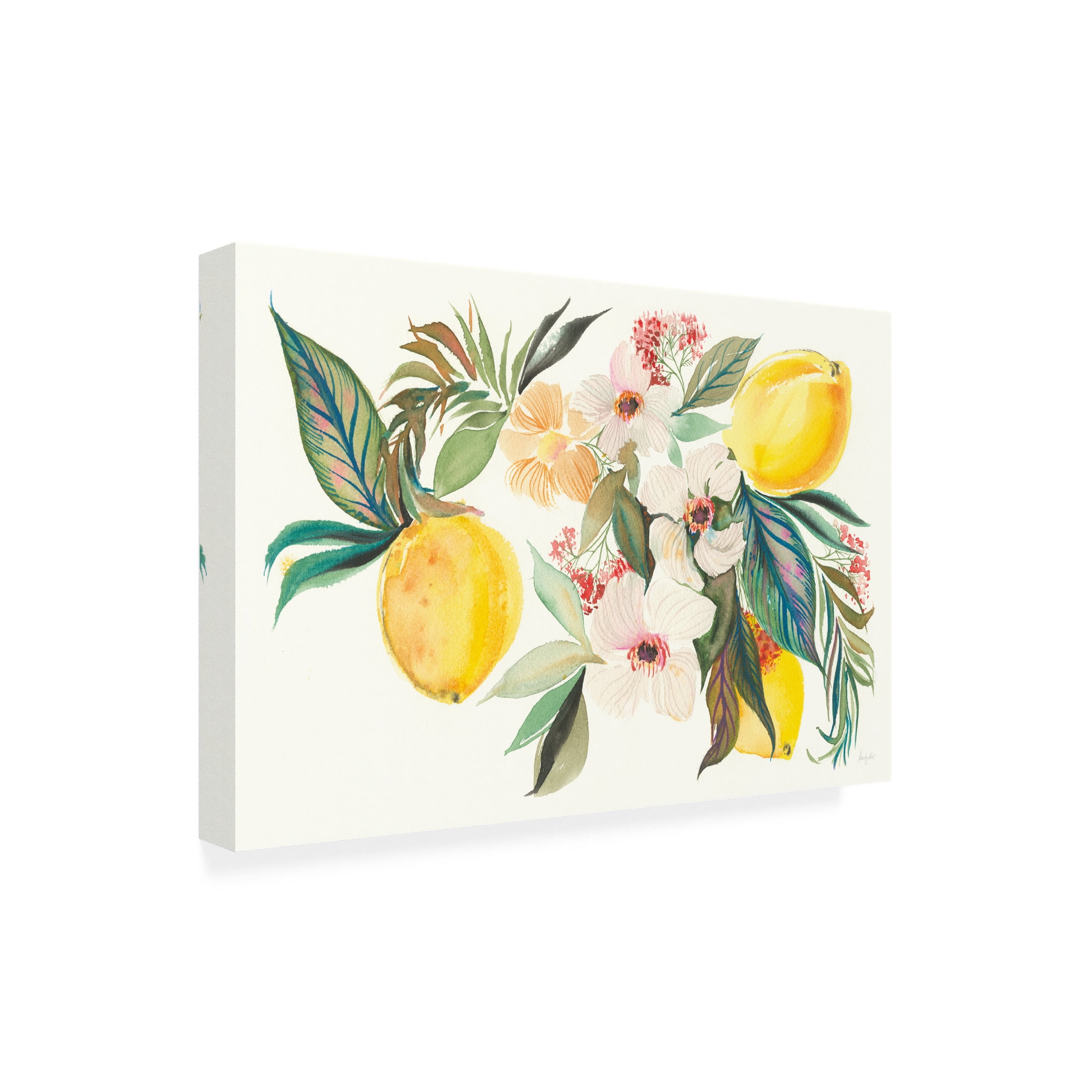 Kristy Rice 'Citrus Summer I' Canvas Art