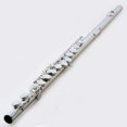 thumbnail image 3 of Funion Flute Set C Flute Closed hole With Case Rod Screwdriver Cleaning Cloth Grease Caps Musical Instruments Funion, 3 of 9
