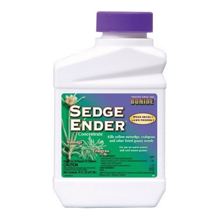 Bonide Sedge Ender Nutsedge Killer Concentrate 16 oz