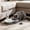Gray, variant on 2 in 1 Cat Feeding Station, Raised Stainless Steel Bowls with Gravity Water Dispenser, Non-Slip Auto Refill Pet Feeder for Dry Wet Food