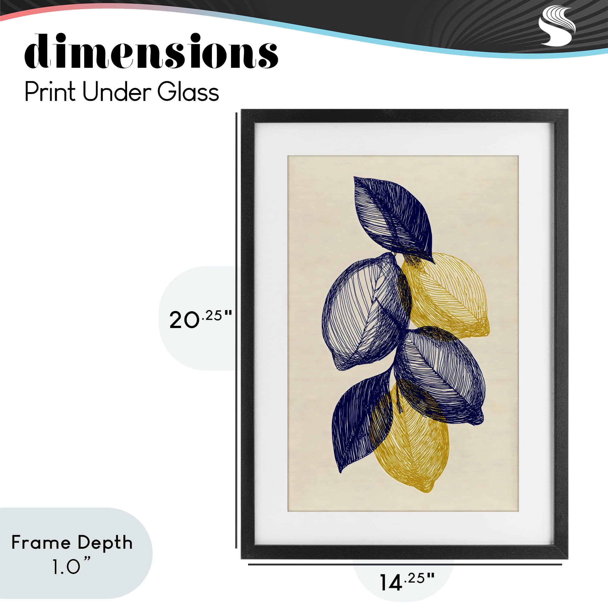 Stupell Industries Navy Lemons Botanical Sketch Black Framed Print Under Glass, design by Petal Prints Design