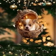 thumbnail image 1 of Adornos acrílicos para árbol de Navidad | Decoraciones navideñas 2D para el árbol | Juego de 6 colgantes irrompibles con cinta para decoración navideña de interiores y exteriores, 1 of 5