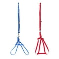 thumbnail image 4 of DOLITY Adjustable Reptile Pet Bird Ferret Rat Harness Leash Lead Rope S, 4 of 9