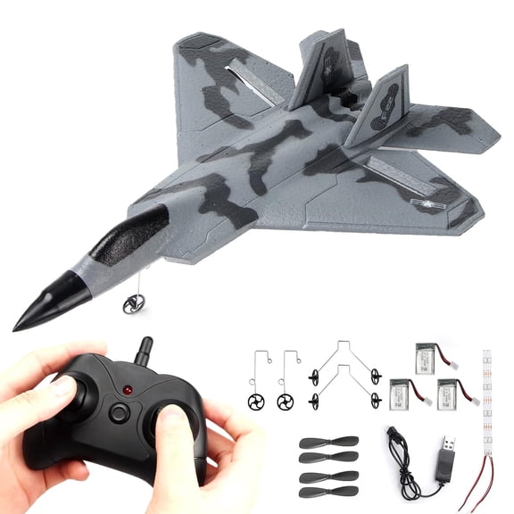 JoyStone F22 Raptor Jet Airplane Model, 2 Channels 2.4 GHz RC Plane Toy, Easy to Fly RC Glider for Kids Boys Girls Adults