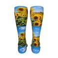 thumbnail image 6 of Kdxio Sky Golden Sunflower Field B Funny Silky Novelty Funky Long Knee High Socks Soft 3D Print Cosplay Crazy Stockings for Men Women, 6 of 8