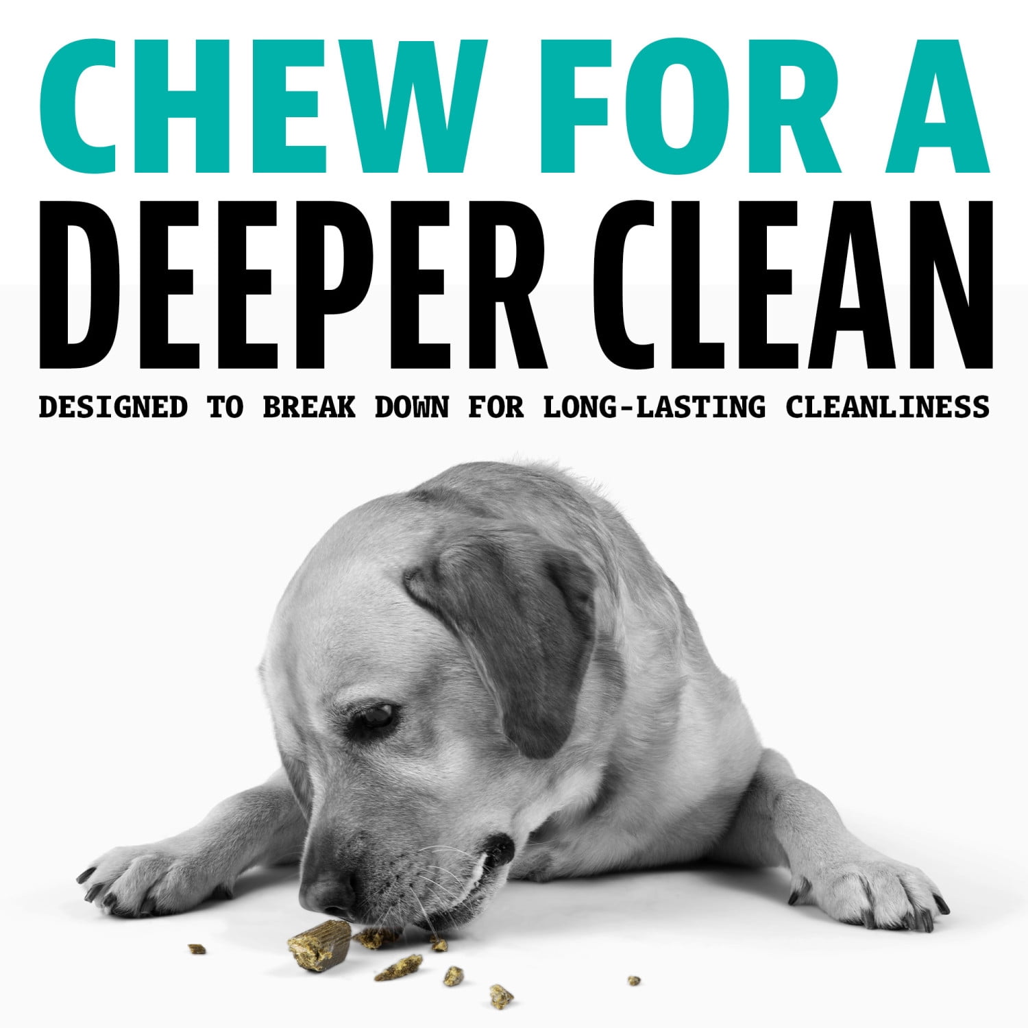 Dinovite Dental Chews for Dogs - Large - 4 ct