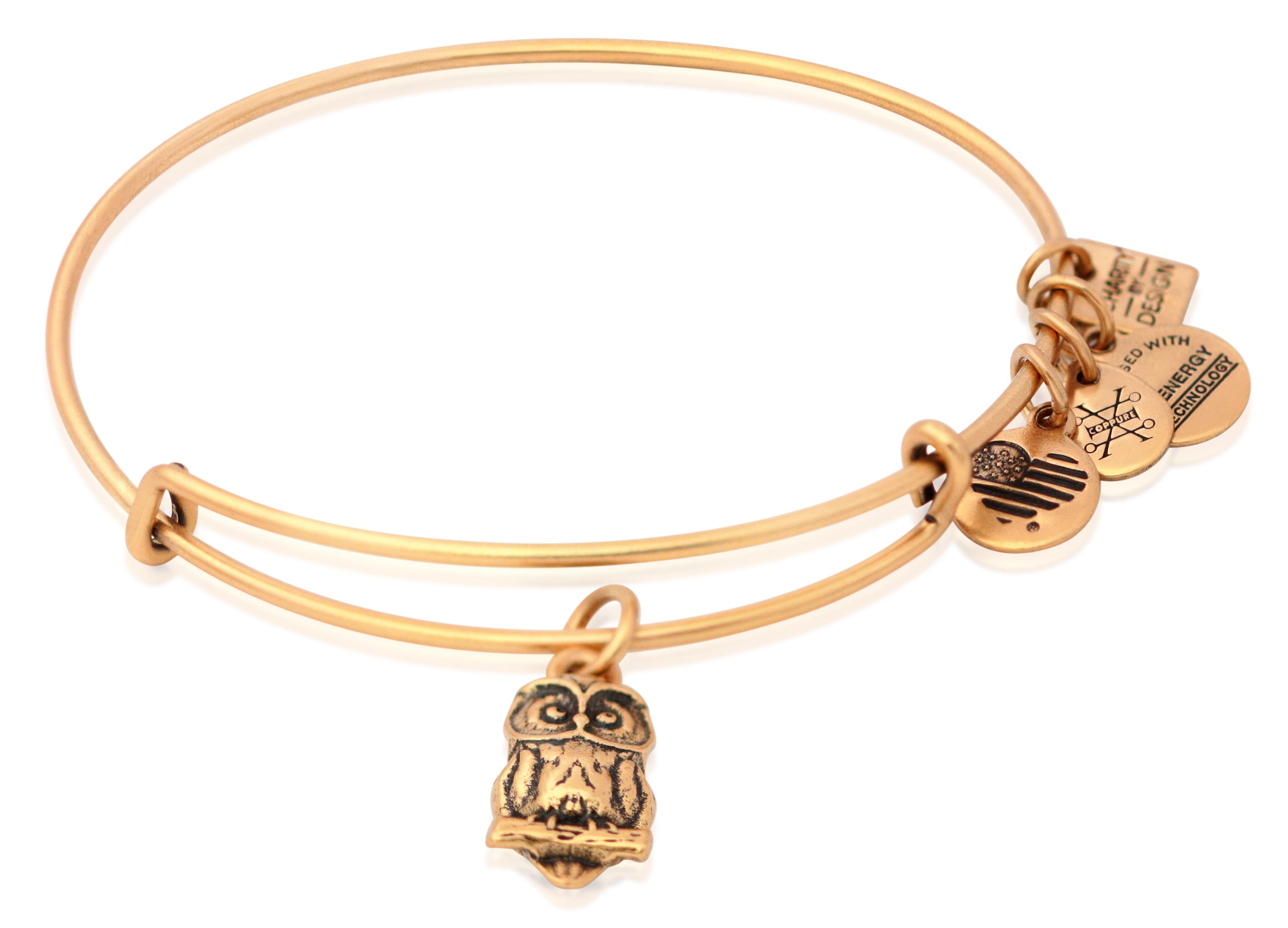 Alex and Ani Women's Charity By Design Rafaelian... Owl Charm Bangle Bracelet