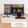 thumbnail image 3 of Distributeur d'Eau d'Alimentation pour Animaux de Compagnie, Fenêtre de Visualisation Transparente Couvercle Antipoussière Intégré Aliment Sec pour Chat pour la Maison Gris, Rose, Bleu, 3 of 7