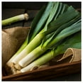 thumbnail image 2 of Everwilde Farms - 1 oz Organic American Flag Leek Seeds - Gold Vault Bulk Seed Packet, 2 of 3