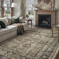 thumbnail image 1 of Alfombra Area PureCozy, vintage, marrón, lavable, 240 x 300 cm, 1 of 9