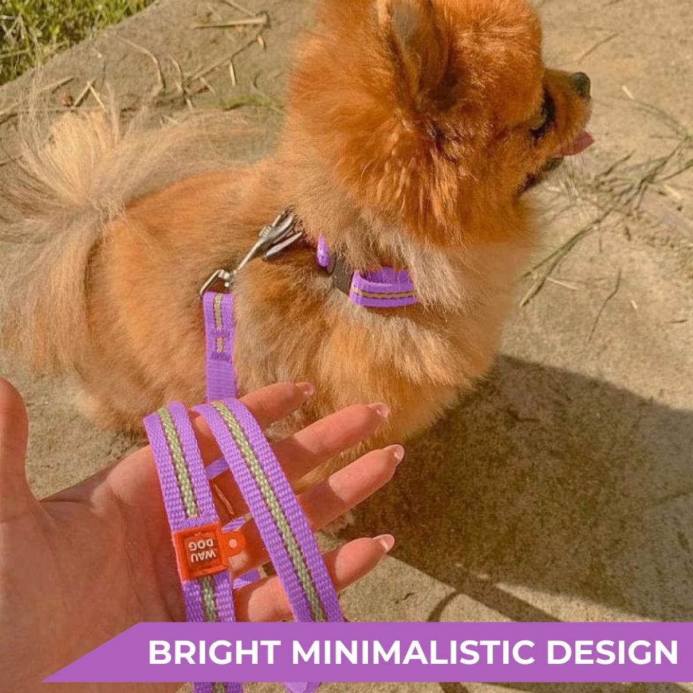 Nylon Reflective Dog Collar | Adjustable Dog Collar for Large, Small & Medium Dogs | Personalized Soft and Fashion Patterns Dog Collars | Boy & Girl Dog Collars with Durable Plastic Buckle - Purple