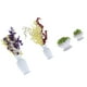 thumbnail image 4 of Juego de plantas en macetas de simulación BuyWeek 4 mini macetas, 4 of 14