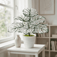 thumbnail image 3 of huayou 17.72 inch Variegated White Artificial Monstera Plant with White Pot, Faux Split Leaf Potted Greenery, Indoor Tabletop Living Room Office Decoration, 3 of 6