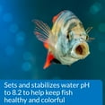 thumbnail image 6 of API Proper pH 8.2, Freshwater Aquarium Water pH Stabilizer, 7.05 oz, 6 of 8