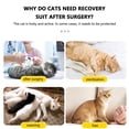 thumbnail image 4 of Cat Recovery Clothes Soft Breathable Anti-licking Bodysuit With Adjustable Buckle E-collar Substitute, 4 of 9