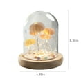 thumbnail image 3 of Xihbxyly Lámpara decorativa Luz de Noche Retro Bombilla Led para Interior exterior, 3 of 7