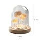 thumbnail image 3 of Xihbxyly Lámpara decorativa Luz de Noche Retro Bombilla Led para Interior exterior, 3 of 7