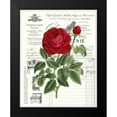thumbnail image 2 of Chilton, Sarah E 12x14 Black Modern Framed Museum Art Print Titled - Heirloom Roses B, 2 of 5