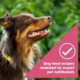 thumbnail image 6 of Nature's Recipe Grain Free Salmon, Sweet Potato & Pumpkin Dry Dog Food, 4 lb Bag, 6 of 11