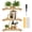 3 Pack, variant on FUYGRCJ Boho Wall Shelf, 4 Tier Wooden Floating Shelves, Arched Display Wall Shelves, Vintage Wall Mounted Rainbow Shelf for Home, Living Room, Bedroom, Office Decor, 18.9 x 5.7 x 4.3 inch