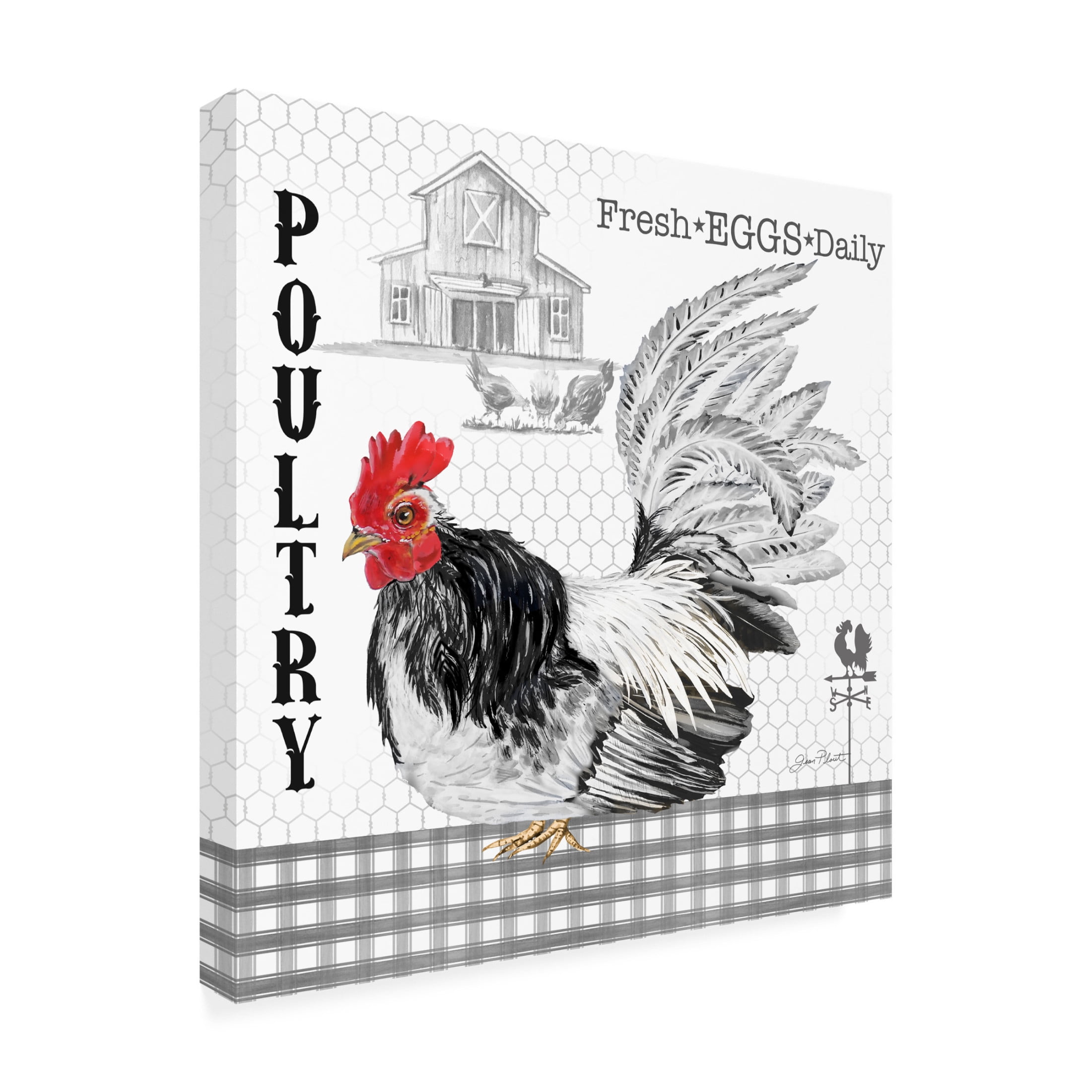 Canvas Wall Art - Jean Plout 'Plaid Country Rooster C' Wall Art for Living Room, Bedroom, or Office Décor by Trademark Fine Art - 35 x 35 Inches