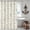 Beige Shells Conch, variant on Coastal Seashell Fabric Shower Curtain, Under The Sea Beach Ocean Theme Shower Curtain with Starfish & Coral, Waterproof Blue Nautical Decorative Bathroom Curtains, 72" W x 72" H