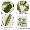thumbnail image 3 of Designart "Foliage Outlined In Olive Minimalism Leaves II" Leaves Floater Framed Wall Art Living Room, 3 of 5