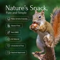 thumbnail image 4 of (3 pack) Snackathon Oregon Hazelnuts In Shell, 2.2 LB Bulk Bag - Whole Raw Large Filberts Grown in USA, Fresh Unsalted Natural Nuts for Snacking & Baking, 4 of 6