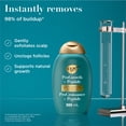 thumbnail image 4 of OGX Procroissance + Peptide Shampoing Clarifiant, Shampoing Exfoliant Doux pour le Cuir Chevelu Favorise la Pousse Naturelle des Cheveux en Éliminant l'Accumulation sur le Cuir Chevelu, 1.5 % d'Acide Mandélique, 4 of 8