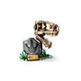 thumbnail image 3 of Set LEGO Jurassic World Fósiles de Dinosaurio Cráneo de T rex 76964, 3 of 4