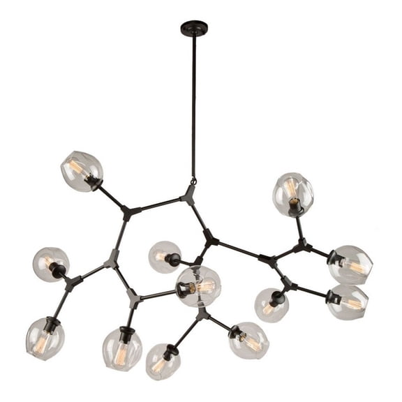 JA14022BK-Artcraft Lighting-Organic - 12 Light Chandelier-Black Finish