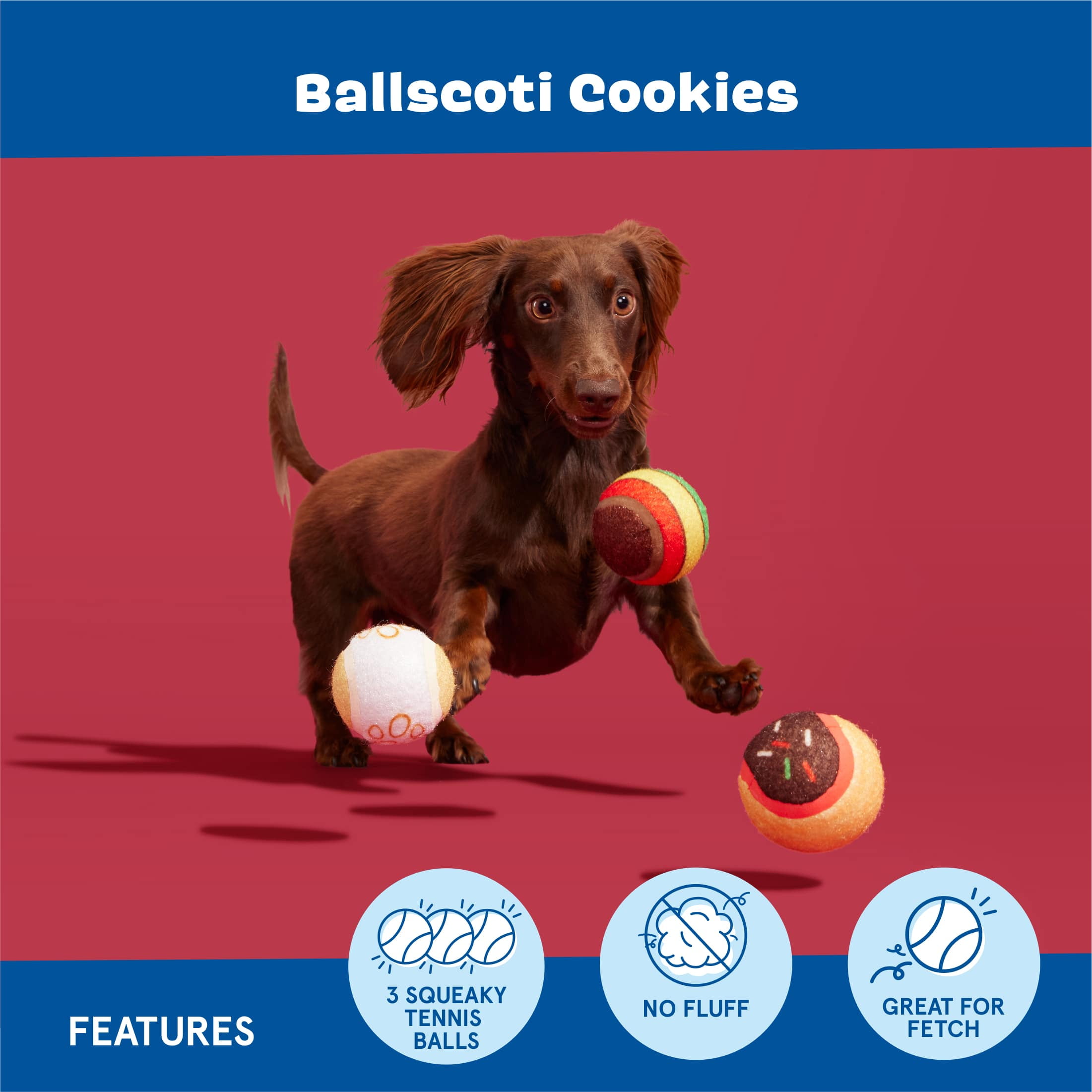 BARK Ballscoti Cookies Multi-Color Italian Cookies Squeaky Tennis Ball Dog Toy