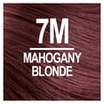 thumbnail image 2 of Naturtint 7M Mahogany Blonde Permanent Hair Color, 1 Pack (Packaging May Vary), 2 of 8