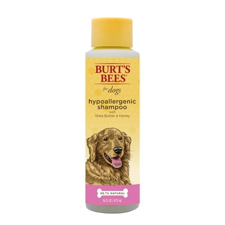 Burt's Bees for Dogs Natural Hypoallergenic Shampoo with Shea Butter and Honey| Puppy and Dog Shampoo, 16