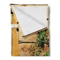 thumbnail image 2 of Shutters Soft Flannel Fleece Blanket, Facade of an Old Building Wooden Shutters Traditional House Summer Plants Nature, Cozy Plush for Indoor and Outdoor Use, 50" x 70", Beige Green, by Ambesonne, 2 of 5