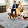 thumbnail image 6 of Shag Area Rugs for Living Room 10'X14', Soft and Fluffy Shaggy Carpet for Pets, Machine Washable Floor Rugs for Living room, 6 of 7