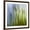Brown Frame, variant on Art.com Moss Photographic Print by Ursula Abresch, 24" x 24"