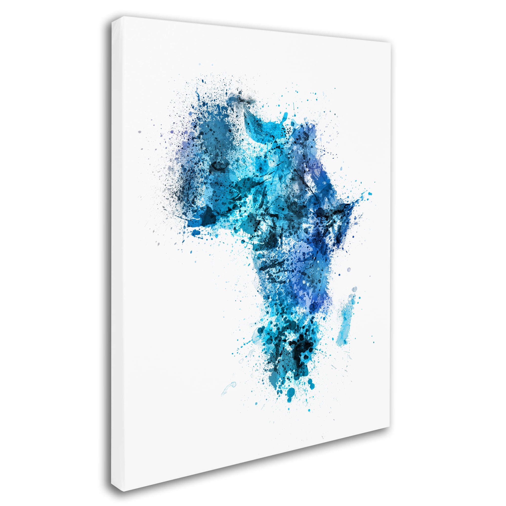 Trademark Fine Art "Paint Splashes Map of Africa" Canvas Art by Michael Tompsett