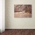 thumbnail image 3 of Trademark Fine Art "Skylight" Canvas Art by Philippe Sainte-Laudy, 3 of 3