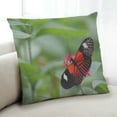 thumbnail image 1 of Ahgly Company Insects Butterfly Indoor Throw Pillow, 18 inch by 18 inch, 1 of 6