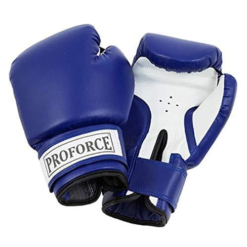 22 oz boxing gloves