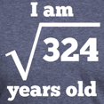 thumbnail image 3 of CafePress - 18Th Birthday Square Root Men's Deluxe T Shirt - Mens Tri-blend T-Shirt, 3 of 4