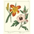 thumbnail image 3 of Edwards, Sydenham 15x18 Black Modern Framed Museum Art Print Titled - Gardeners Delight IV, 3 of 5