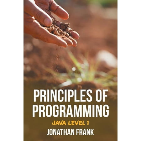 Principles of Programming: Java Level 1 (Paperback)
