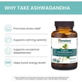 thumbnail image 4 of Himalaya Organic Ashwagandha Root for Stress, Energy and Adrenal Support, 670 mg, 60 Caplets, 4 of 10