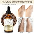 thumbnail image 5 of ATOANY Cyperus Rotundus Oil for Hair Removal, 100% Pure & Natural, Balances Skin Tone, Suitable for All Skin Types, 2.02 fl.oz (3Pack), 5 of 11