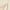 Beige, variant on Deals of Today Abomasnow Women Cami Pajama Casual Spaghetti Strap Silk Satin Sleepwear Lightweight Crew Neck Backless Loungewear